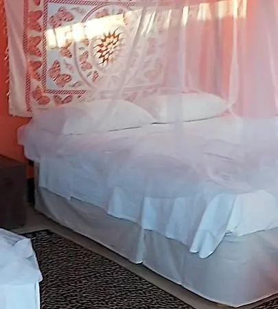 Glamping House 营地 *